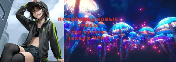 индика Алексин