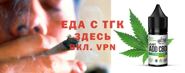 индика Алексин