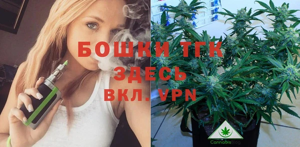 гашик Алексеевка