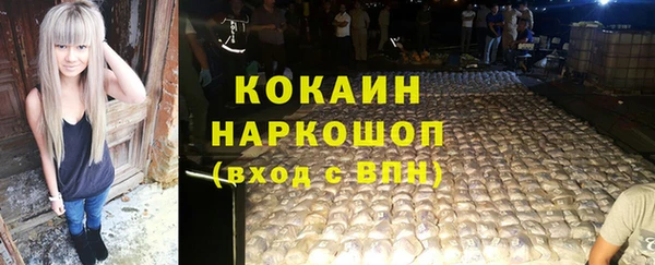 индика Алексин