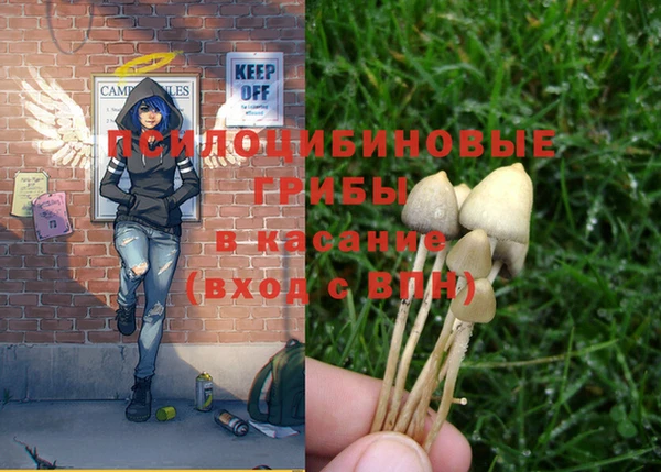 стафф Покачи