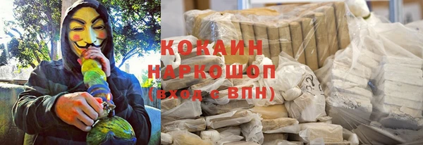 индика Алексин