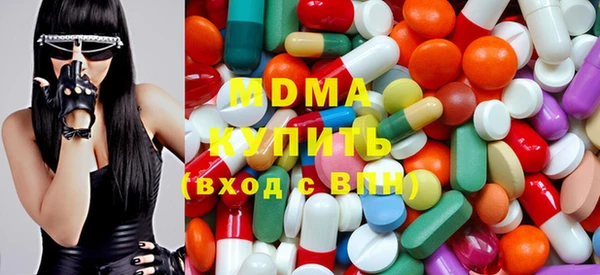 индика Алексин