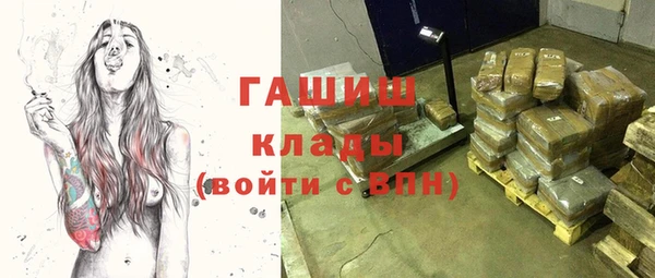индика Алексин