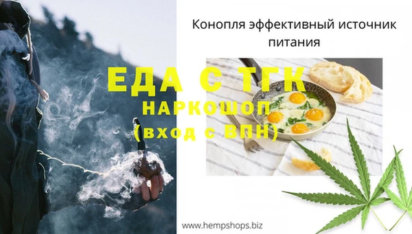 индика Алексин