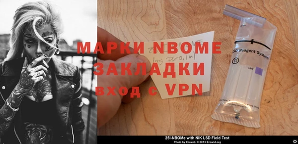 индика Алексин