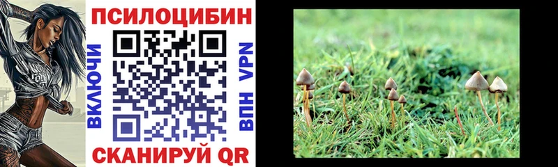Псилоцибиновые грибы GOLDEN TEACHER  маркетплейс официальный сайт  Стародуб 